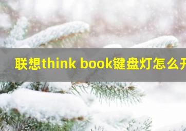 联想think book键盘灯怎么开